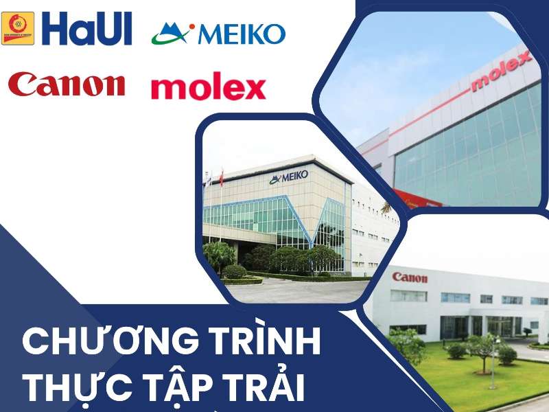 Thông báo chương trình thực tập trải nghiệm tại doanh nghiệp năm 2025
